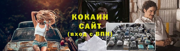 мет Инсар