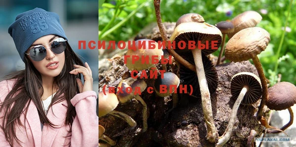 apvp Иннополис