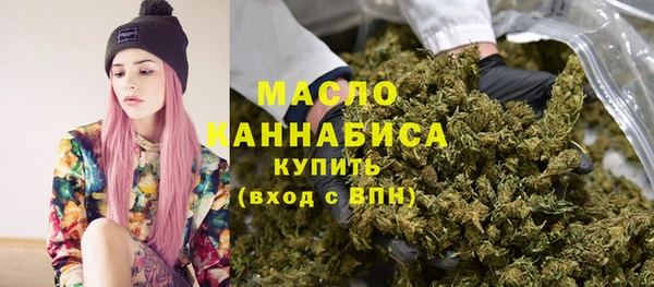 мет Инсар