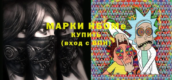 дмт Каменка