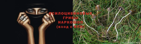 прущая мука Нязепетровск